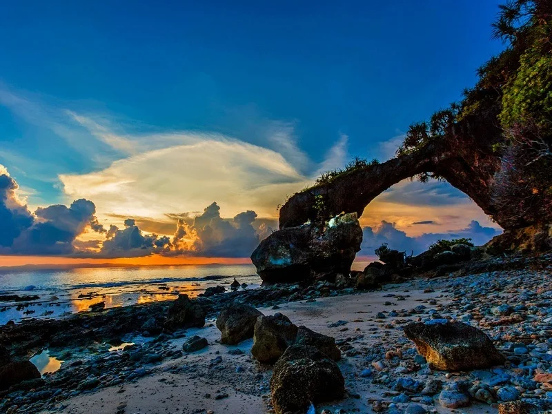 Featured Image